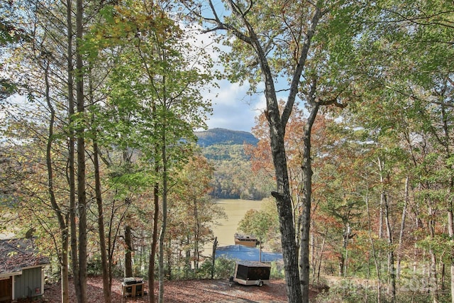 view of mountain feature