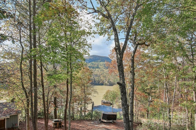 1805 Buffalo Shoals Rd, Lake Lure, NC 28746 - photo 41