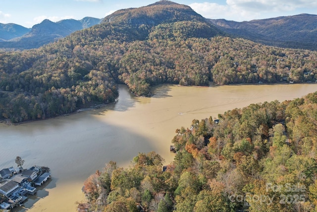 bird's eye view featuring a water and mountain view