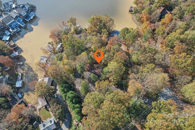 1805 Buffalo Shoals Rd, Lake Lure, NC 28746 - photo 45