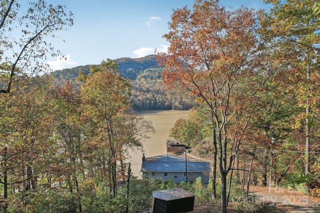 1805 Buffalo Shoals Rd, Lake Lure, NC 28746 - photo 46
