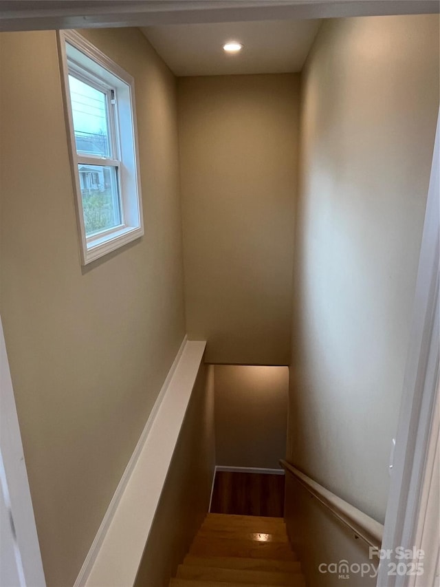 staircase with hardwood / wood-style flooring