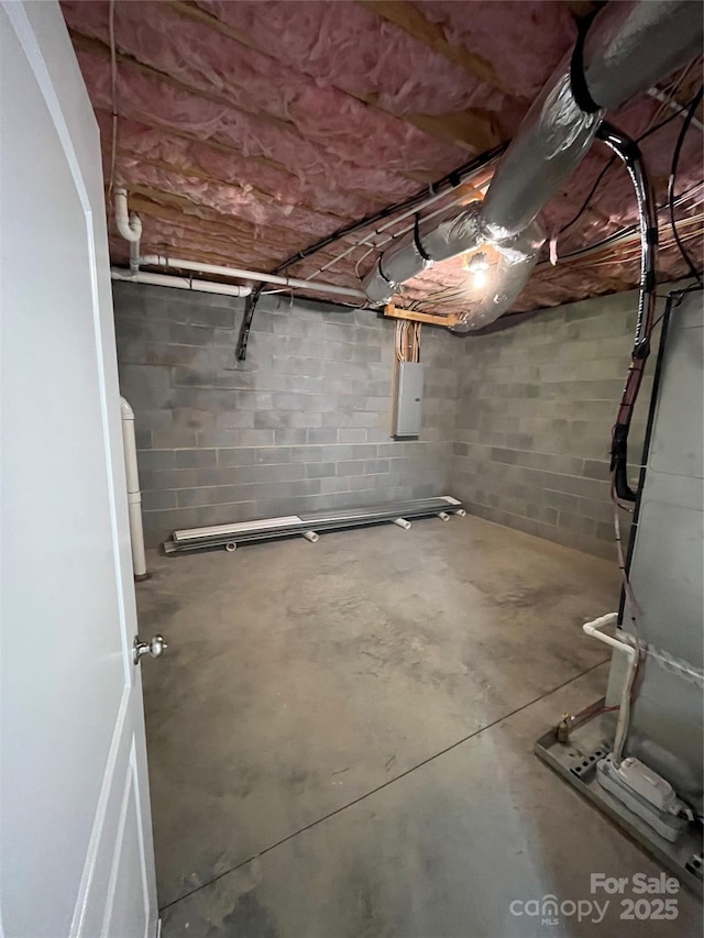 basement featuring electric panel