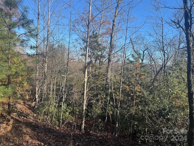 14 Spring House Trl, Brevard NC, 28712 land for sale