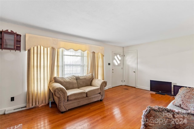 living room featuring hardwood / wood-style flooring