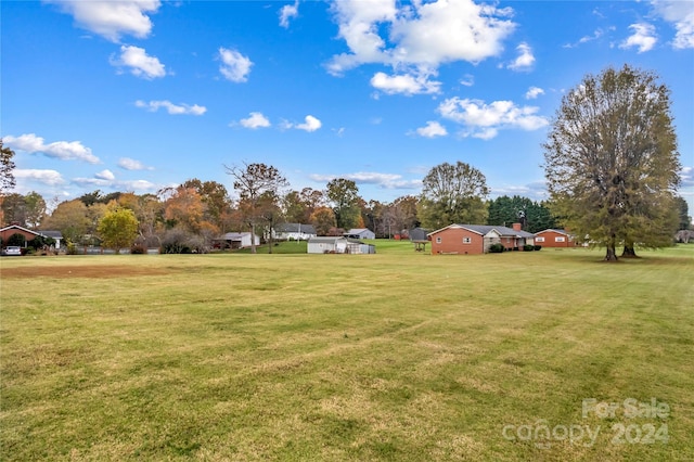 view of yard