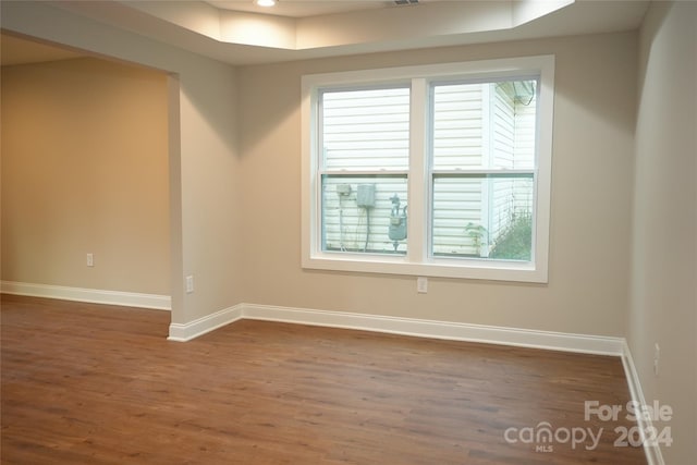 spare room featuring dark hardwood / wood-style flooring, a tray ceiling, and plenty of natural light