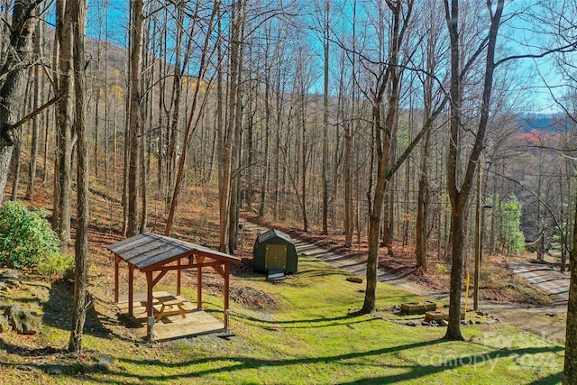 view of home's community with a storage unit and a yard