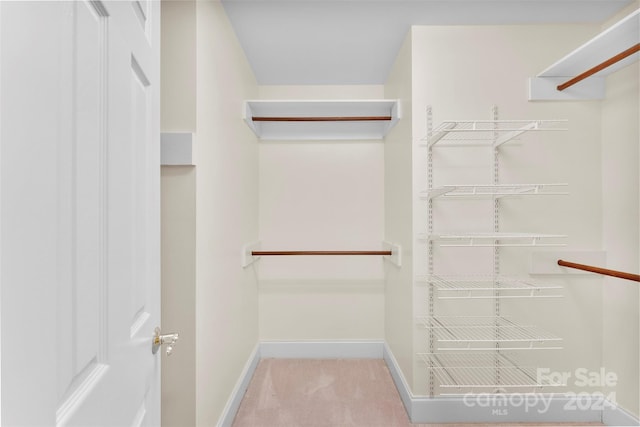 walk in closet with light colored carpet