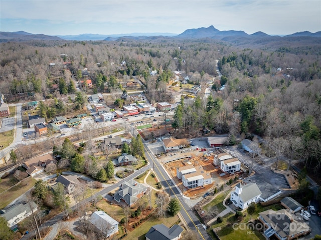 birds eye view of property with a forest view and a mountain view