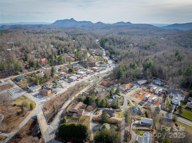 birds eye view of property with a mountain view and a forest view