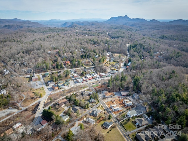 birds eye view of property with a mountain view