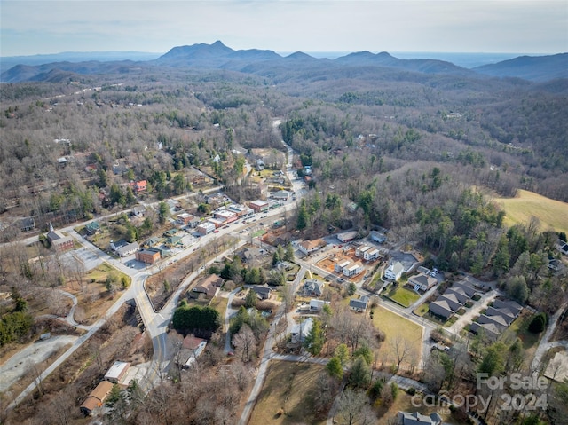 drone / aerial view featuring a mountain view