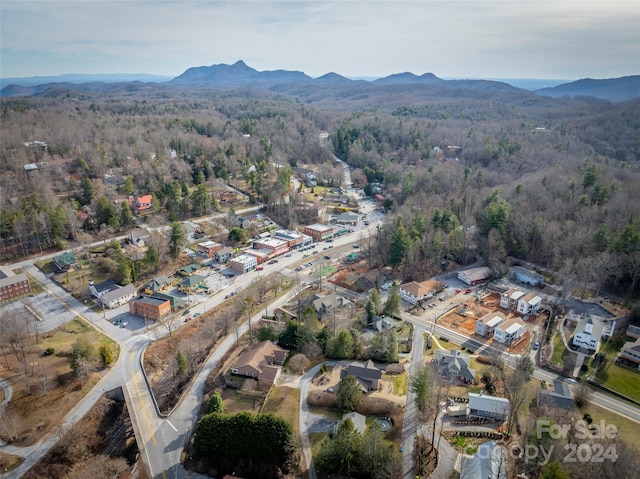 birds eye view of property featuring a mountain view