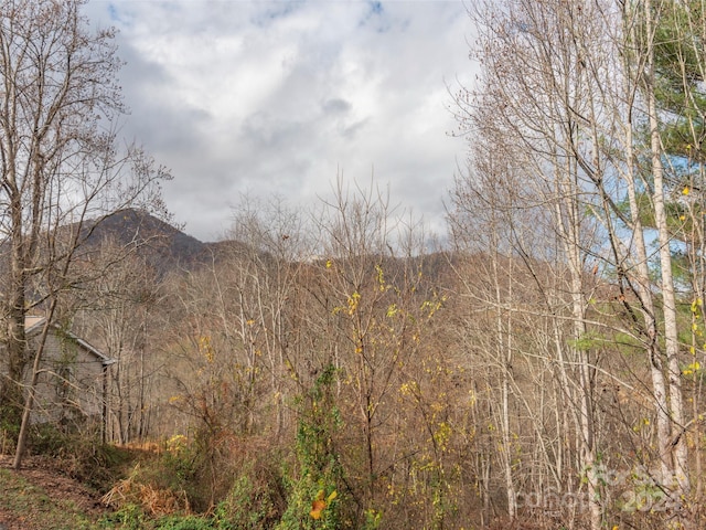 property view of mountains