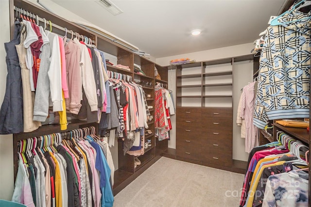 view of walk in closet