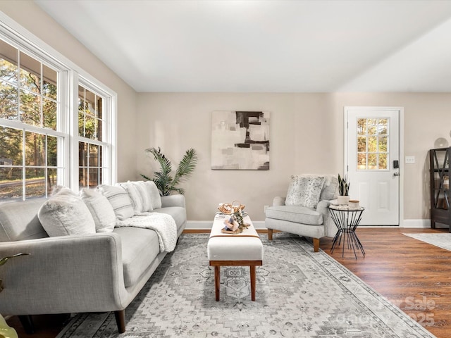 living room featuring wood-type flooring