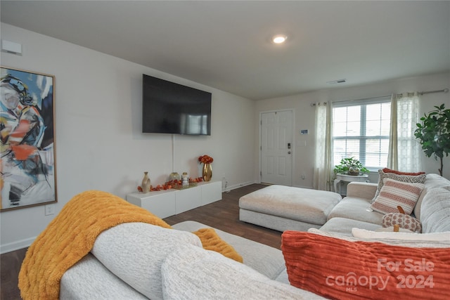 living room featuring dark hardwood / wood-style flooring