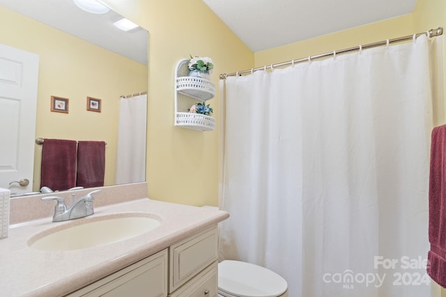 bathroom with toilet and vanity