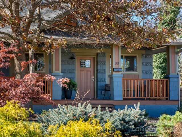 30 Burton St, Asheville, NC 28806 - photo 36
