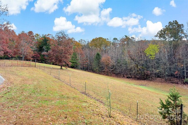 65,59,163 Gypsy Mountain Road, Marion, NC 28752 - photo 5