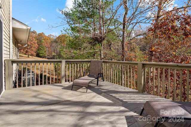 65,59,163 Gypsy Mountain Road, Marion, NC 28752 - photo 45