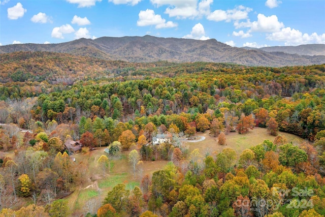 65,59,163 Gypsy Mountain Road, Marion, NC 28752 - photo 46