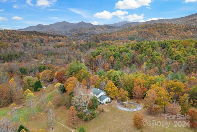 65,59,163 Gypsy Mountain Road, Marion, NC 28752 - photo 47