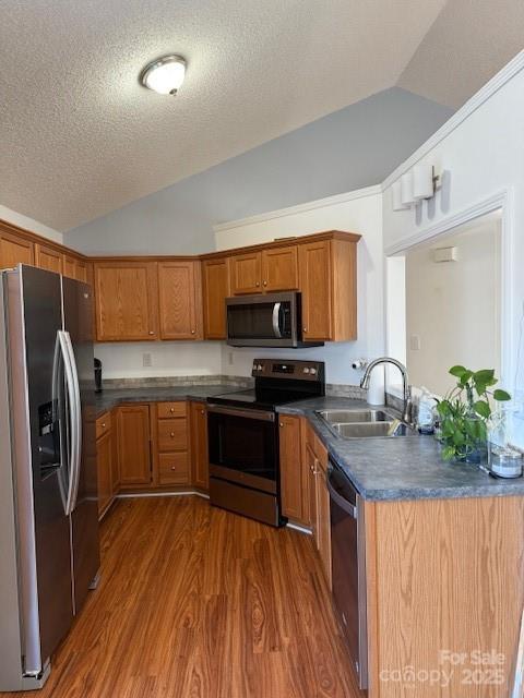 kitchen with vaulted ceiling, appliances with stainless steel finishes, sink, and dark hardwood / wood-style floors