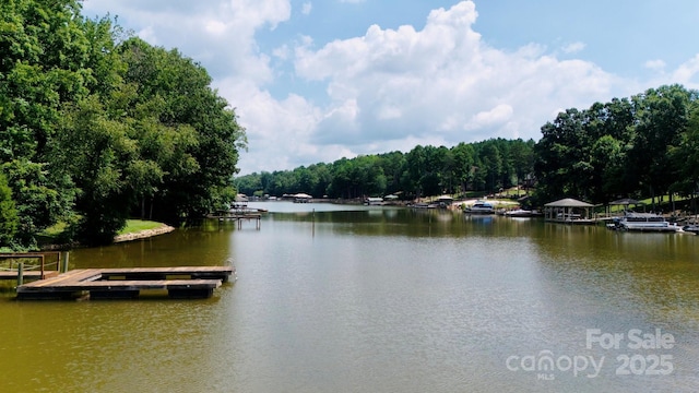 6691 Love Point Rd, Denver, NC 28037 - photo 15
