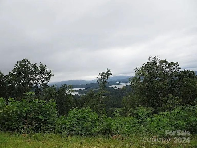 Listing photo 2 for LOT15B Cold Branch Dr, Hayesville NC 28904