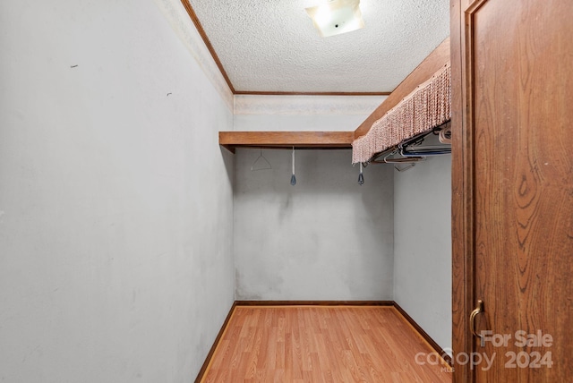 spacious closet with light wood-type flooring