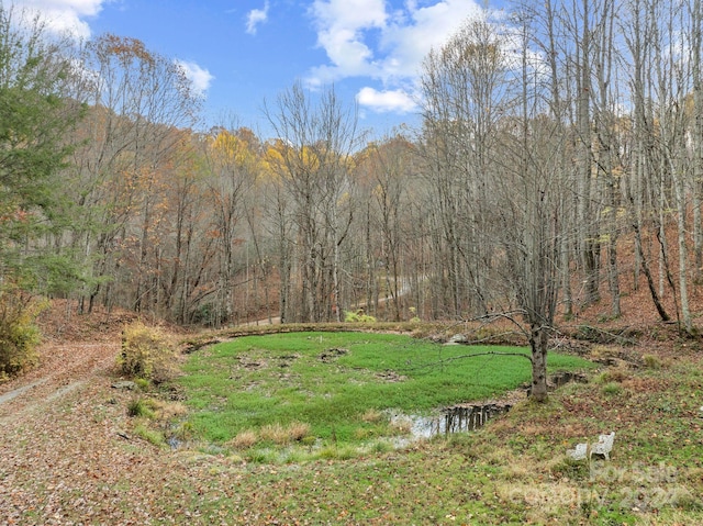 view of yard with a water view