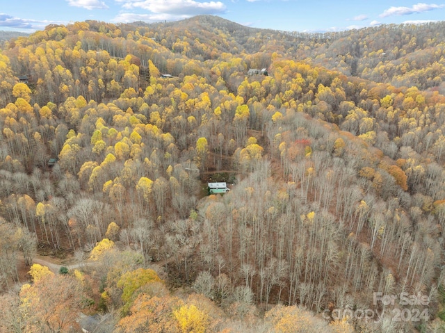 bird's eye view with a mountain view