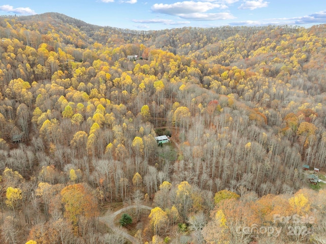 drone / aerial view with a mountain view