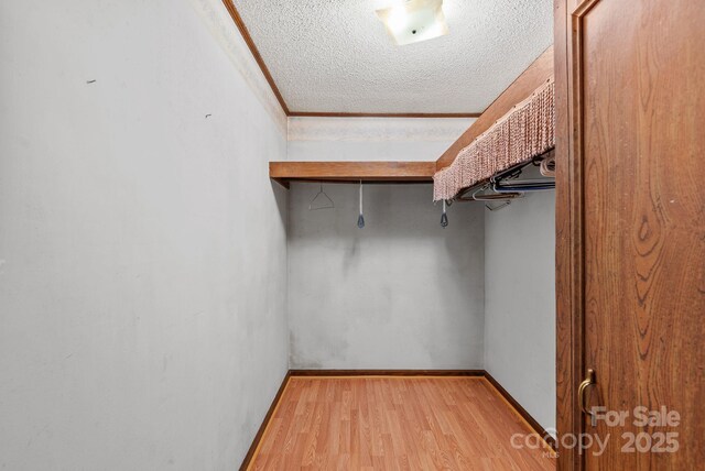 61 Doe Loop, Hot Springs, NC 28743 - spacious closet featuring wood finished floors