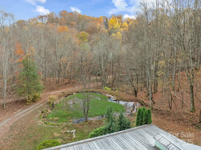 61 Doe Loop, Hot Springs, NC 28743 - view of yard featuring a forest view