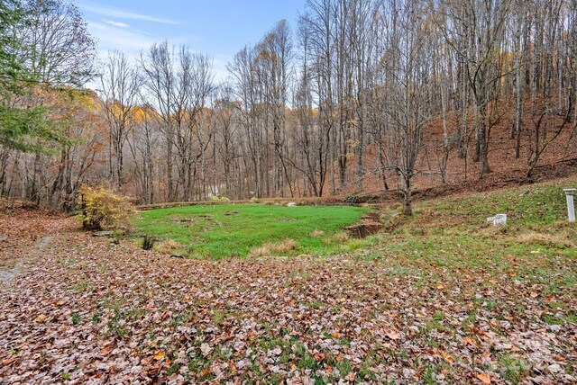 61 Doe Loop, Hot Springs, NC 28743 - view of yard with a forest view