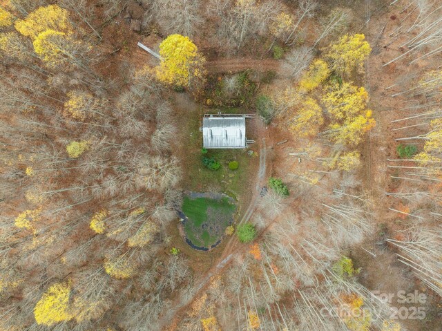 61 Doe Loop, Hot Springs, NC 28743 - aerial view