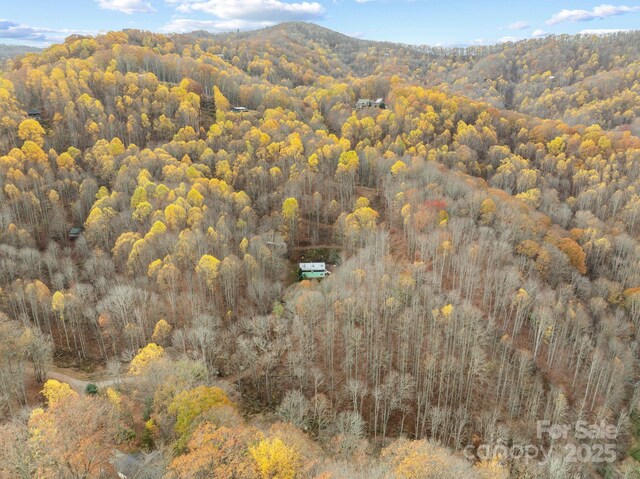 61 Doe Loop, Hot Springs, NC 28743 - aerial view of property and surrounding area with a heavily wooded area and mountains