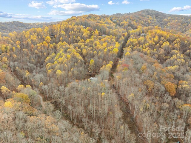 61 Doe Loop, Hot Springs, NC 28743 - mountain view with a heavily wooded area