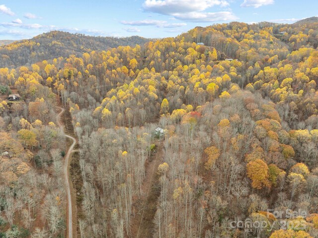 61 Doe Loop, Hot Springs, NC 28743 - view of property location with a heavily wooded area and mountains