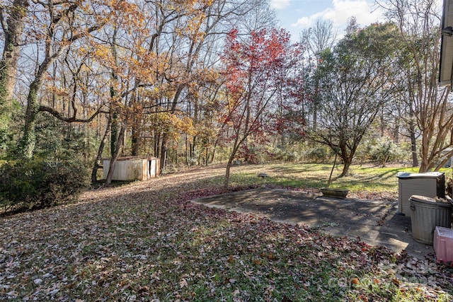 view of yard featuring a patio area and a storage shed