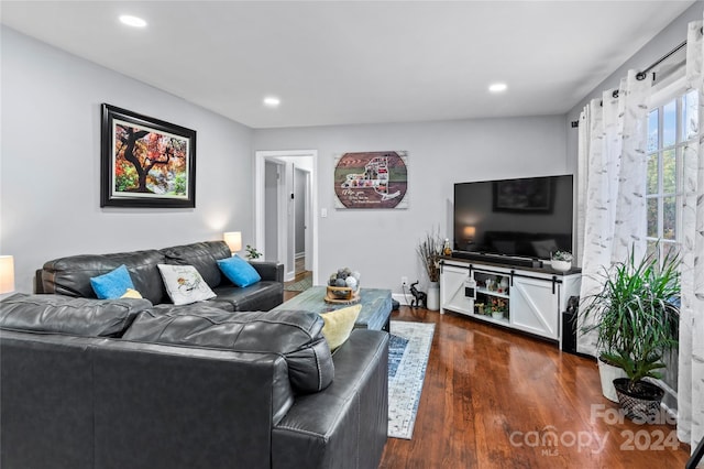 living room featuring dark wood-type flooring