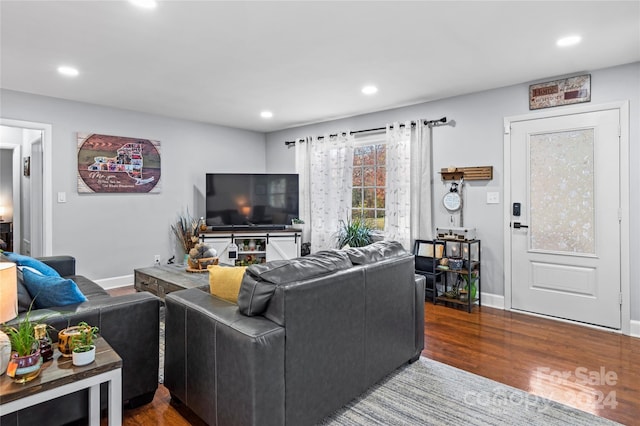 living room featuring hardwood / wood-style floors