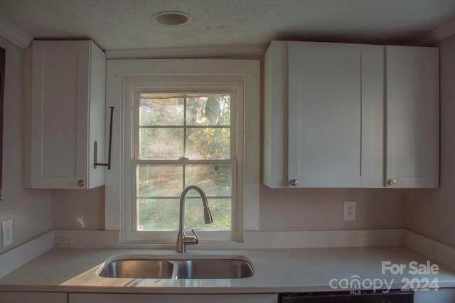 kitchen with dishwashing machine, a textured ceiling, crown molding, sink, and white cabinets