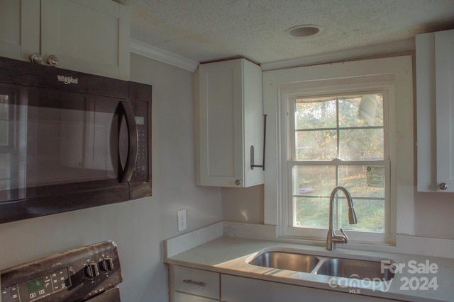 kitchen with a healthy amount of sunlight, crown molding, white cabinetry, and sink