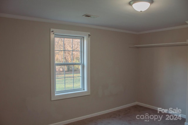 empty room featuring carpet flooring and ornamental molding