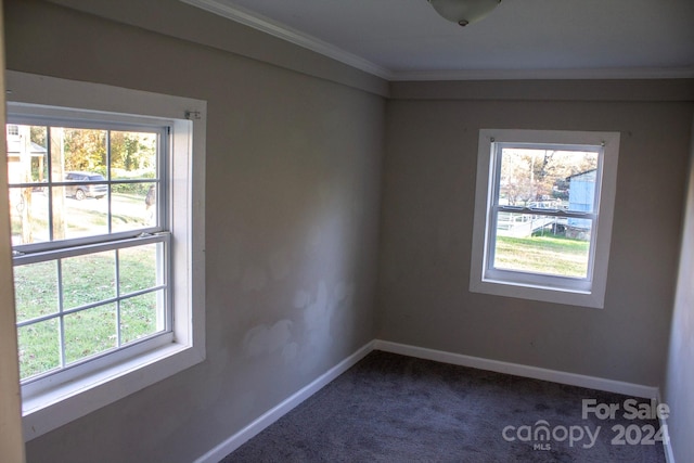 carpeted empty room featuring plenty of natural light and ornamental molding