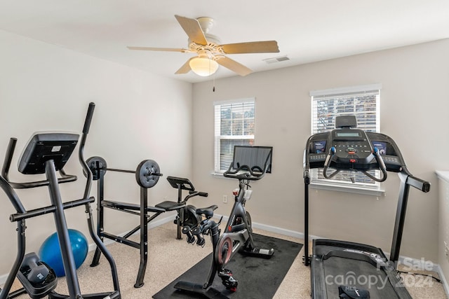 workout area featuring ceiling fan and carpet